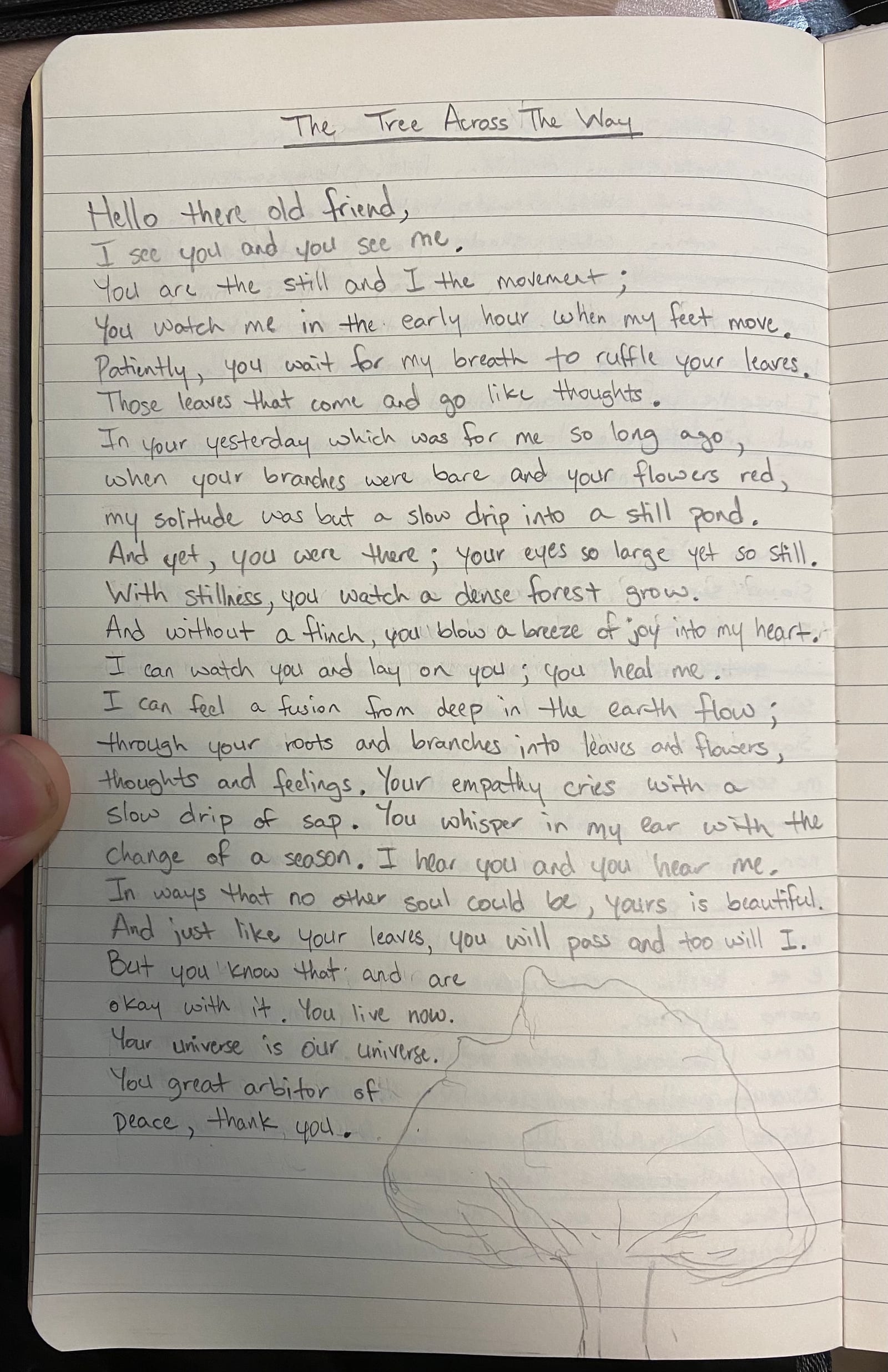 Handwritten poem titled The Tree Across The Way in a lined notebook.