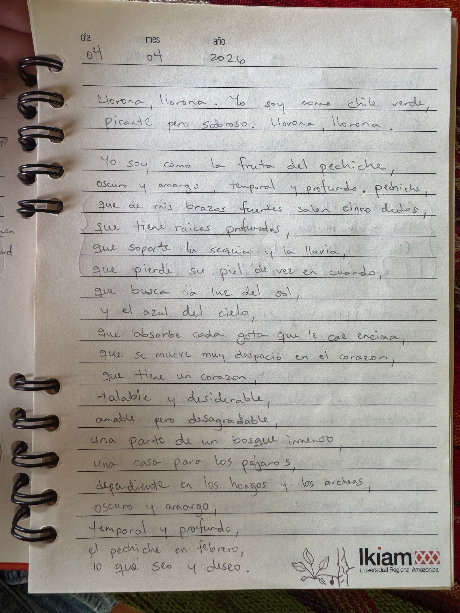 Handwritten Spanish poem on lined notebook paper.